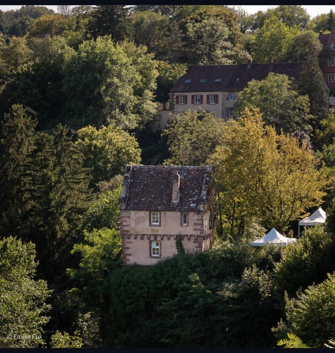 Les Chambres - Au Gres Du Marche La Petite-Pierre Exterior foto