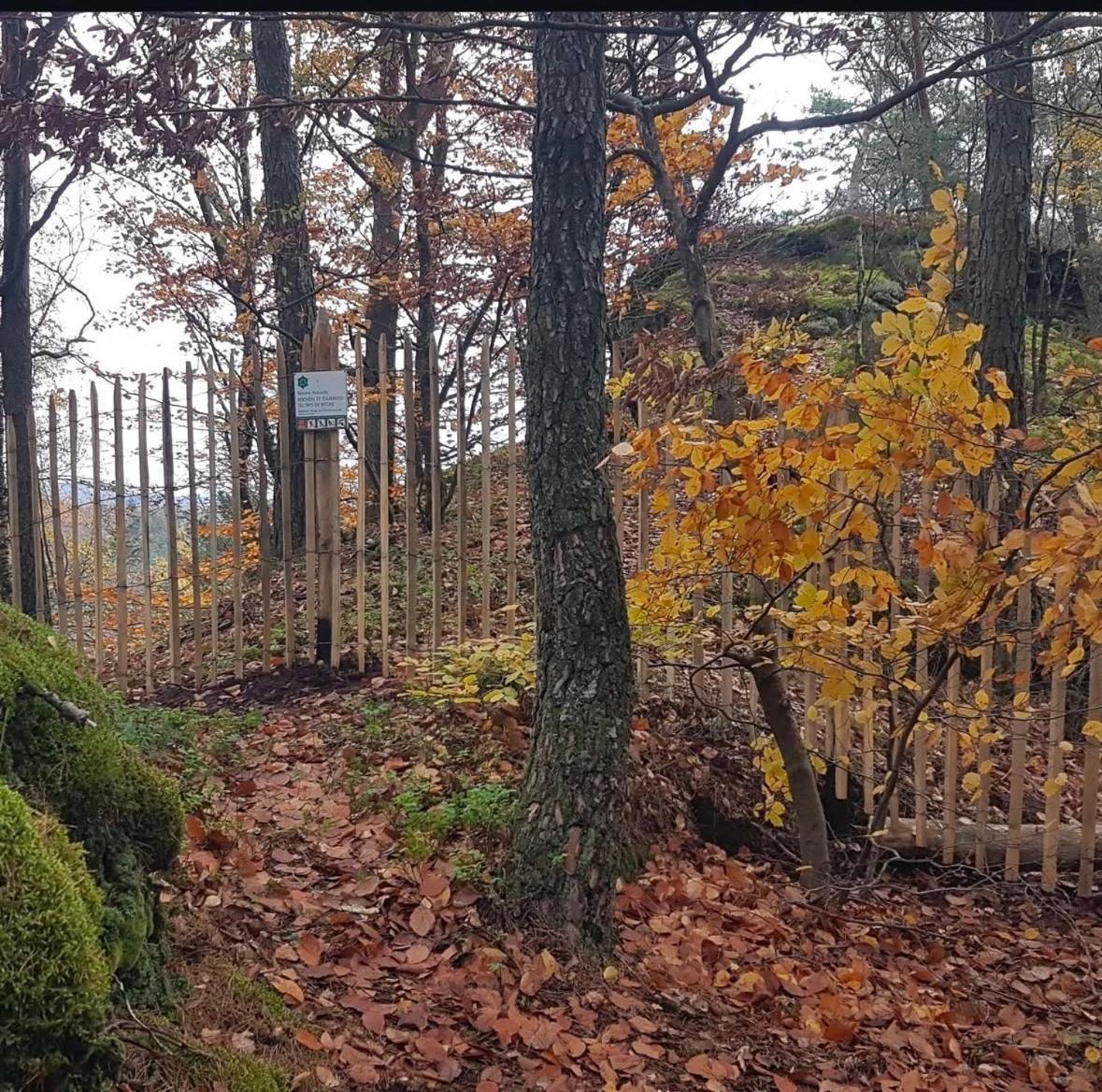 Les Chambres - Au Gres Du Marche La Petite-Pierre Exterior foto